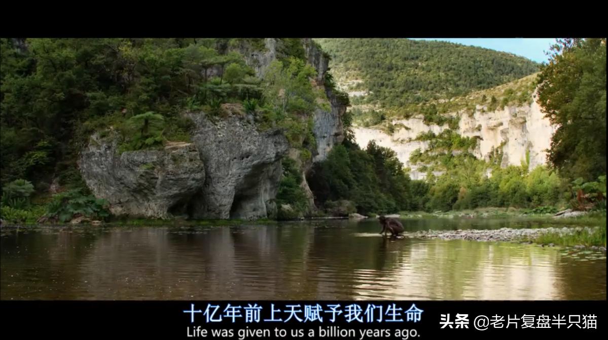 超体跟寡姐有关系吗,超体是寡姐演的吗