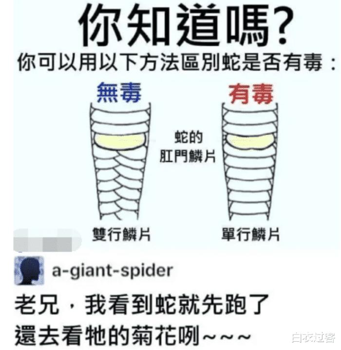 女孩送的玩偶,女孩送的玩偶熊