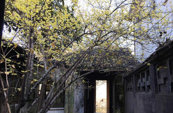 无锡七大古镇排名,无锡十大古镇哪个最好