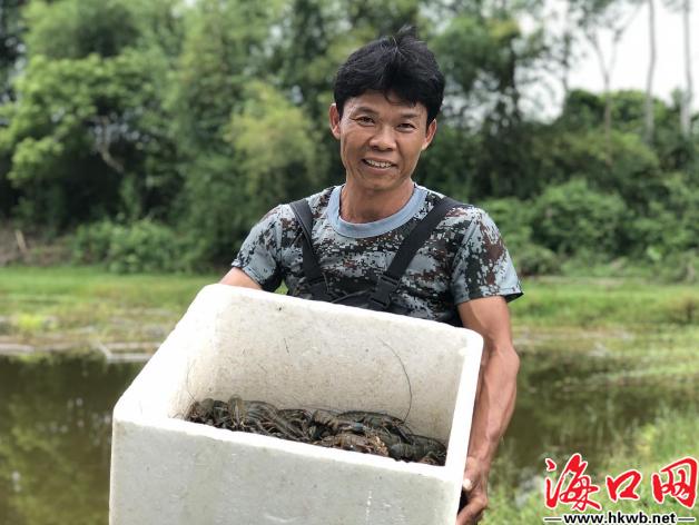 农村致富项目龙虾养殖,龙虾的养殖帮助农民增收