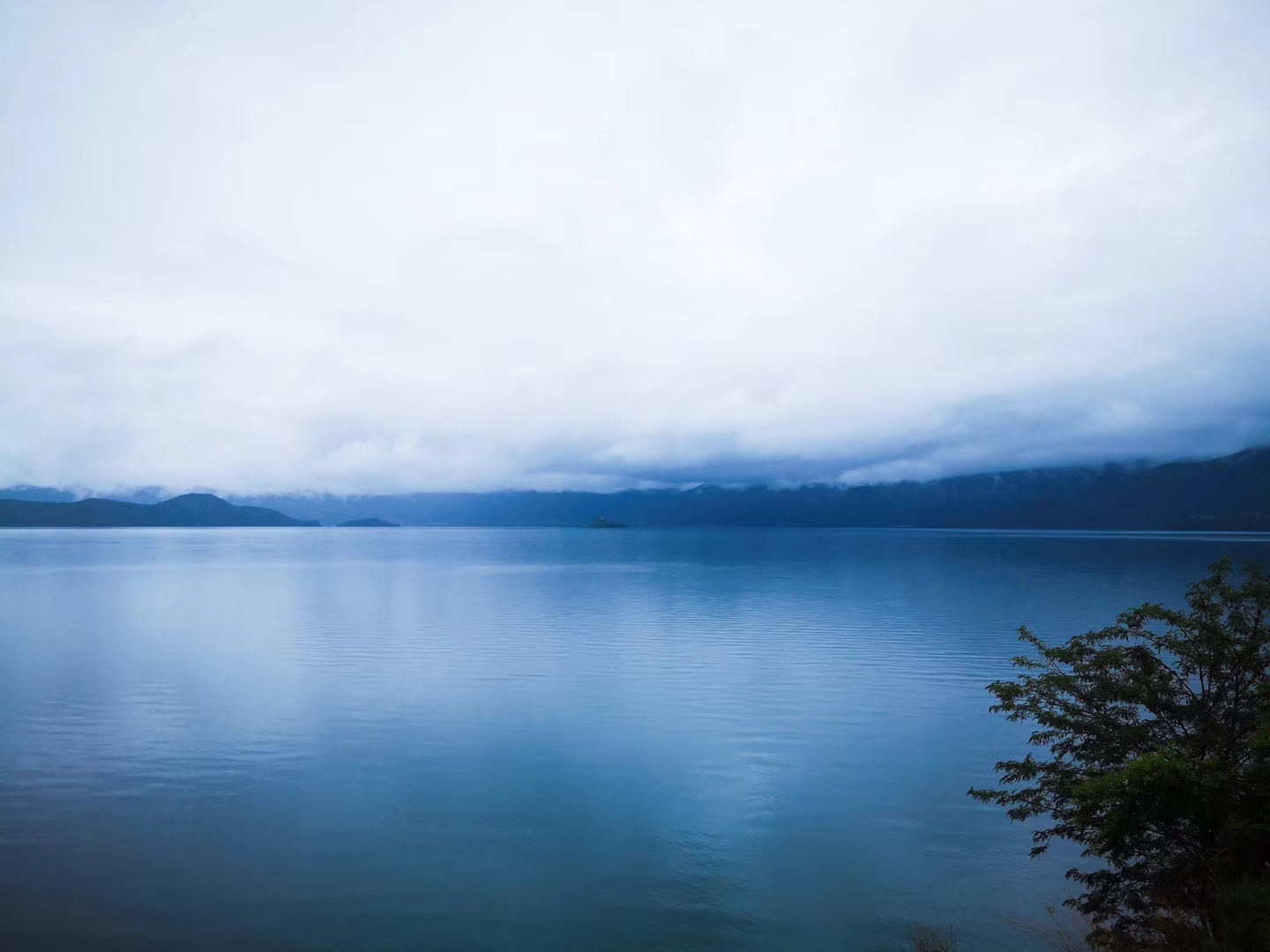 太突然！迪士尼英语宣布关门，其员工补偿涉及哪些税费问题？