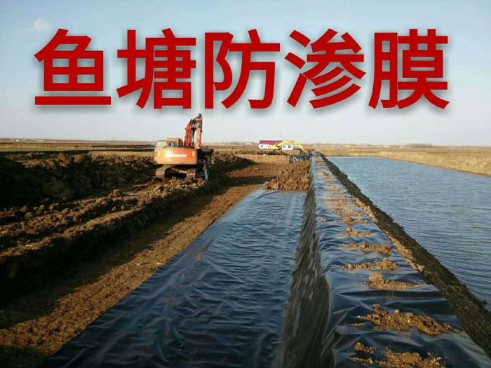 鱼塘防渗膜土工布厂家,鱼塘防渗膜厂家价格