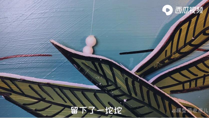 漂亮的蜻蜓其实是凶残的掠食,蜻蜓多凶残