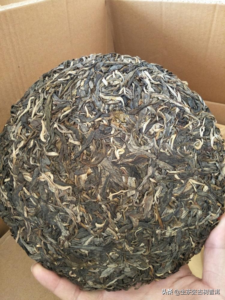 临沧普洱茶茶山介绍,走进勐海茶厂了解前世今生