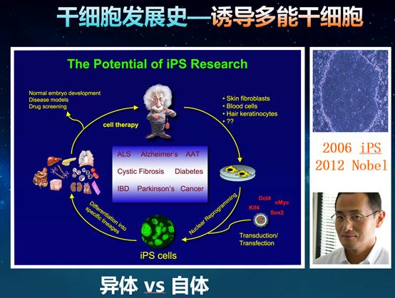 能抗衰的干细胞,干细胞抗衰的潜力