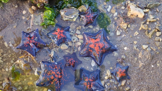 辽宁大连有一个岛,辽宁大连旅游岛屿