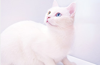 谁说网购只会花钱，你错了，你只是缺少一个粉象生活APP