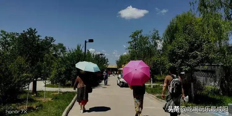 陕西哪三个县被评为天然氧吧,陕西中国天然氧吧之城