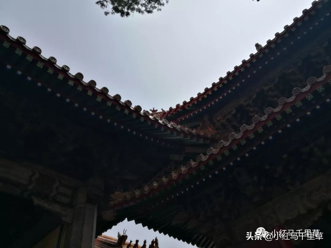 曲阜孔府孔庙孔林历史背景,曲阜孔府孔庙孔林一游