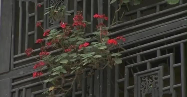 古镇小店一条街,四川清河古镇在哪里