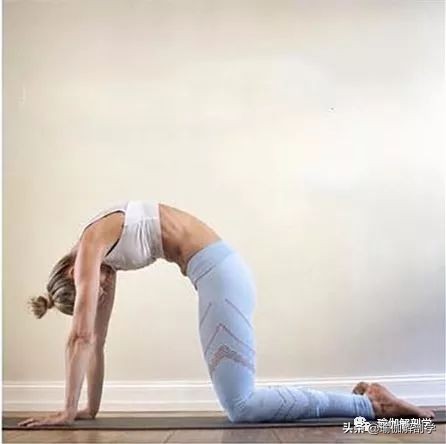 美体瑜伽在家练全套入门基础视频,50-60岁基础瑜伽入门教学视频
