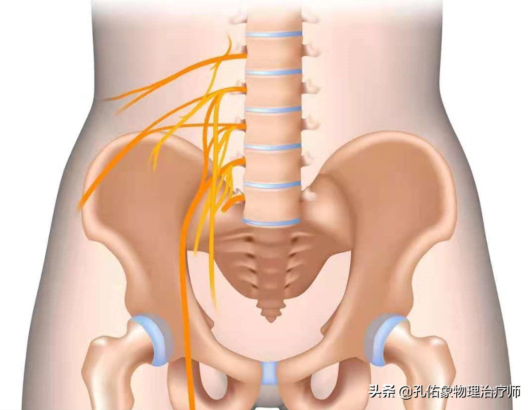 女性漏尿，究竟是怎么导致的？要如何治疗？一文给您详细解答