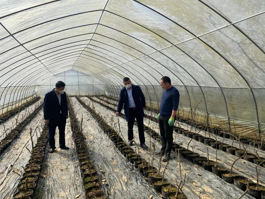 【支持春耕备耕全国农信在行动】接力复工复产,全国农信支持春耕备耕信贷达3295.55亿元