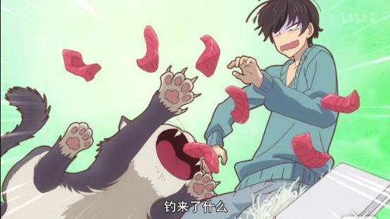 最萌新番,豆瓣8.8最佳纪录片女主