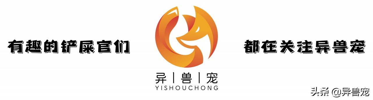 当治病钱有限的时候该怎么办,为什么宠物治疗费用这么高