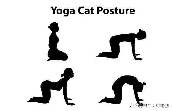 久坐腰痛要怎么锻炼,久坐腰痛应该怎么缓解