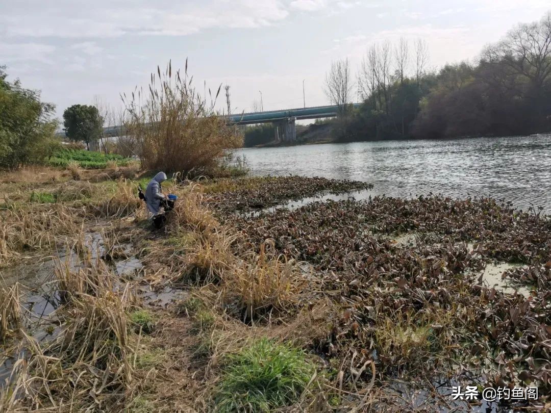 太阳反光看不清浮漂怎样解决,大风大浪钓不到大鱼
