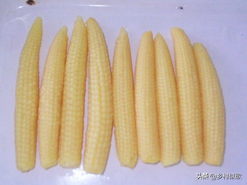 小玉米甜糯健康吗,小玉米啥时可种