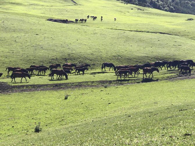 亲子游3天2晚郑州,暑假遛娃郑州