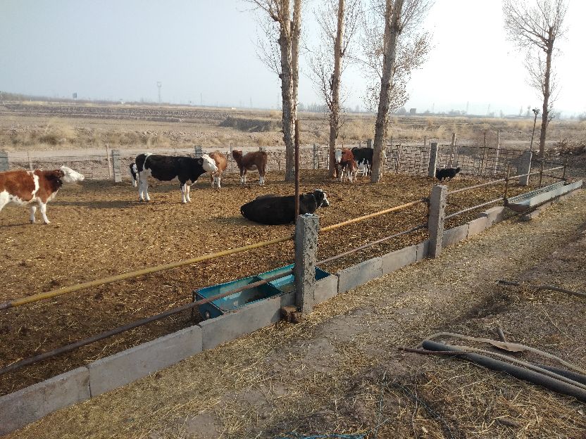 想在农村做宠物养殖,想做养殖种植在山区