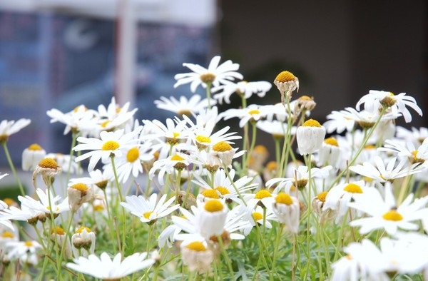 国内旅游:云南双廊寻梦全攻略