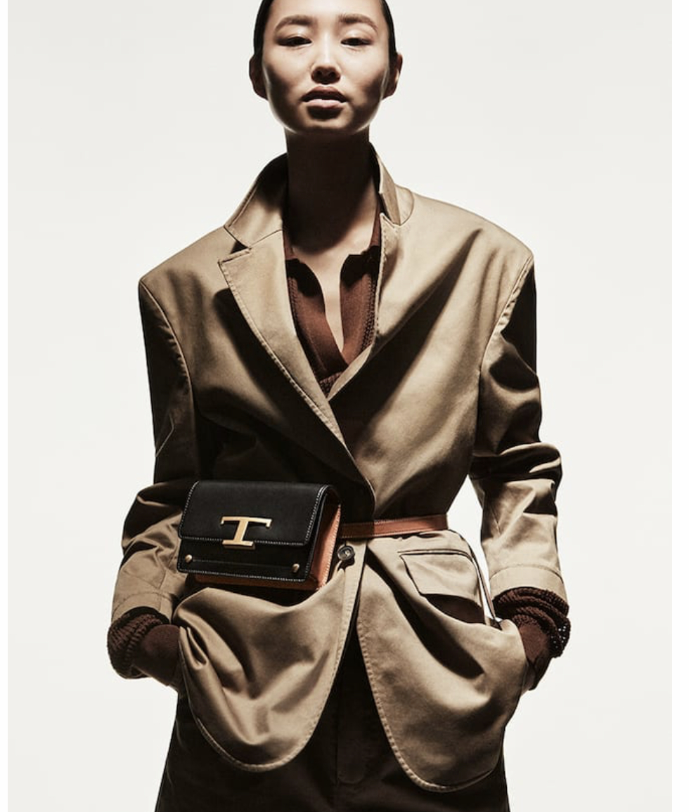 tods刘诗诗合作款,tods女包刘诗诗