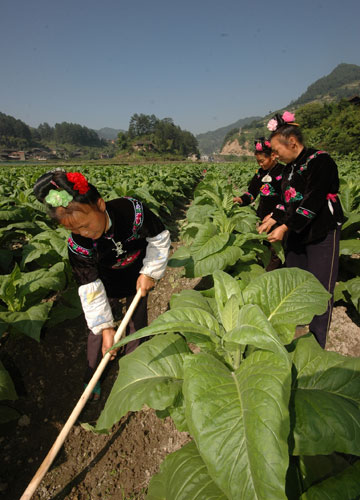 中国烟草利润 (中国烟草一年营业额)