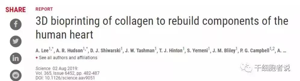 国外神经干细胞研究的最新进展,干细胞治愈糖尿病最新研究进展