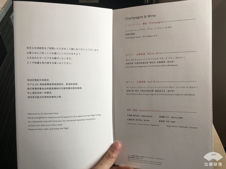 日本航空超级经济舱和经济舱 (日本五星航空公务舱)