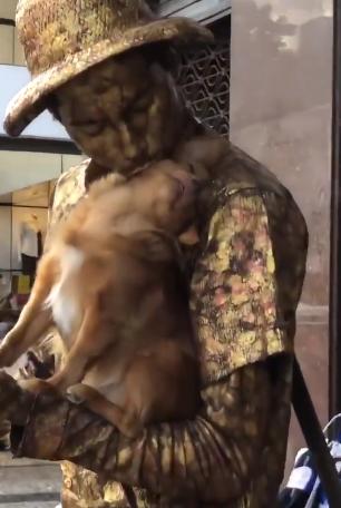 狗伪装成了金狮雕像,狗狗充当雕像