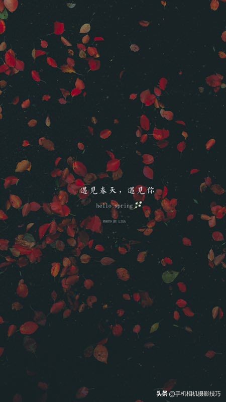 拍花小技巧怎样拍出好看的照片,如何拍花拍出意境