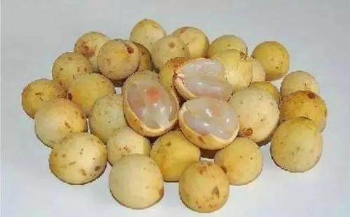 世界这么大你知道有几种水果吗,世界上都有哪些可以吃的水果