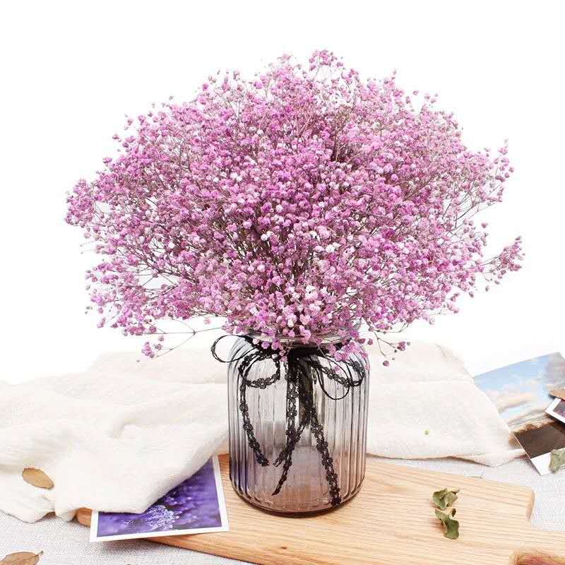 满天星的花语,满天星的花语给客户怎么说