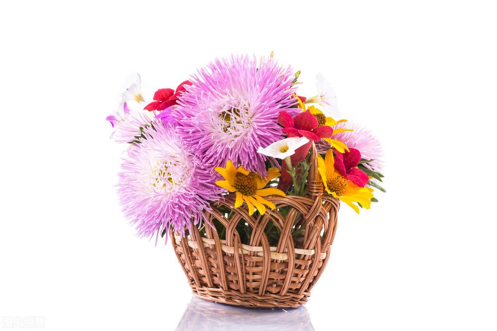 教师节对老师的感谢话语,表达对老师的感谢的诗句