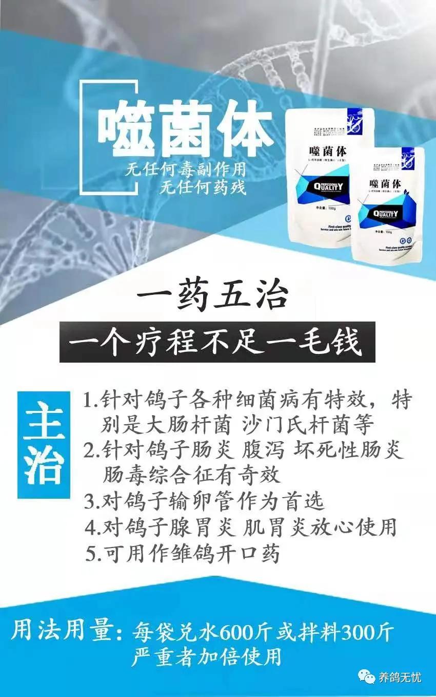 幼鸽出壳五天身上为什么发紫,幼鸽出壳几天突然死亡是什么原因