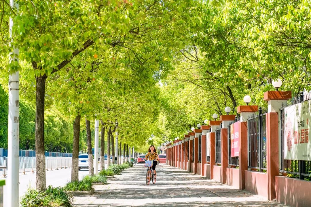 在武汉必做的20件事,不骗人成不了大事