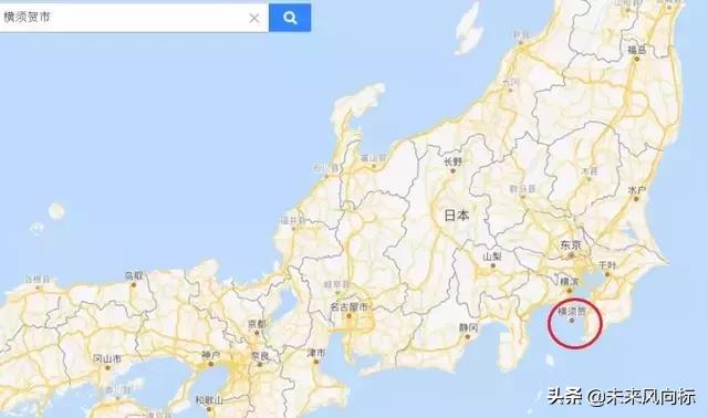 日本政坛五大家族,日本五大政治家族和德川家族