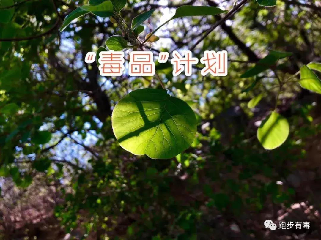 都说跑步是最省钱的运动,都说跑步是最省钱的