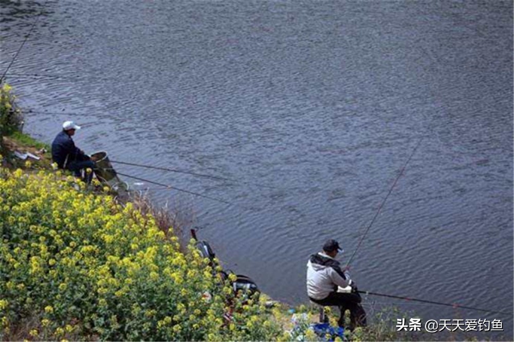 春季钓鱼，哪种风向鱼好钓？有说南风天，有说北风天，你怎么看？