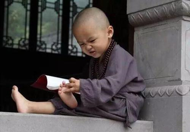 苏轼说和尚秃驴,苏轼高喊秃驴何在