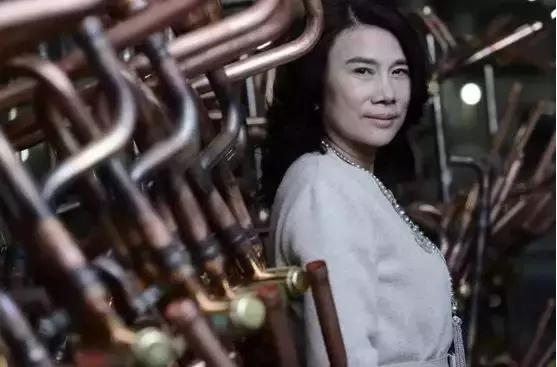 董明珠说不允许自己犯错,董明珠说自己绝不会犯错