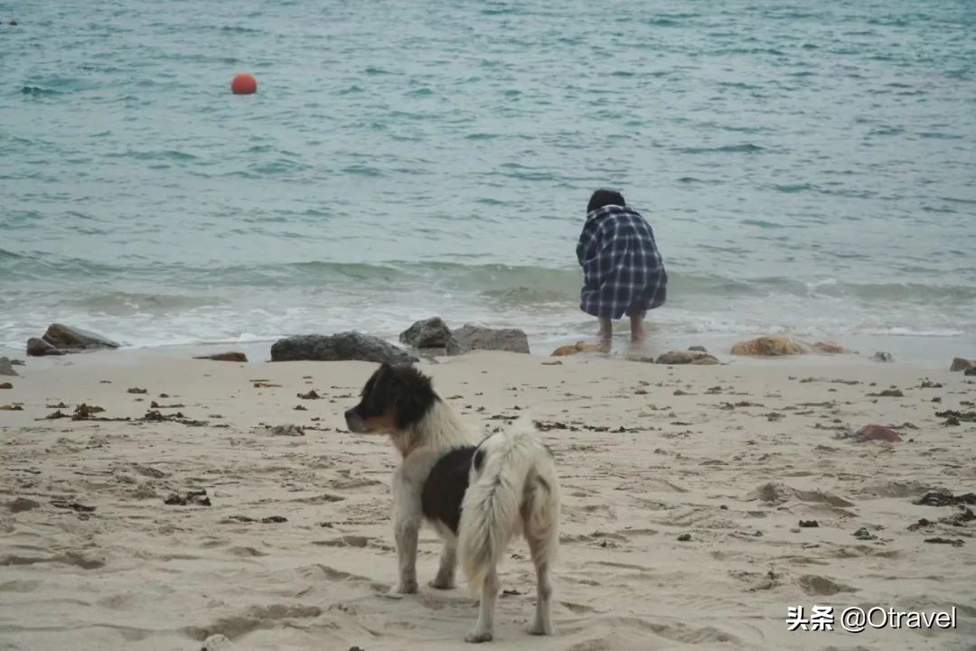 您眼中的深圳是怎么样的？