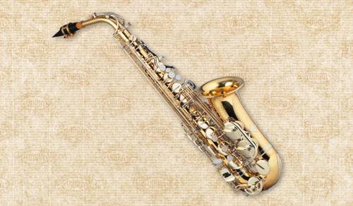 老年人0基础学萨克斯,二十分钟学会萨克斯初学演奏