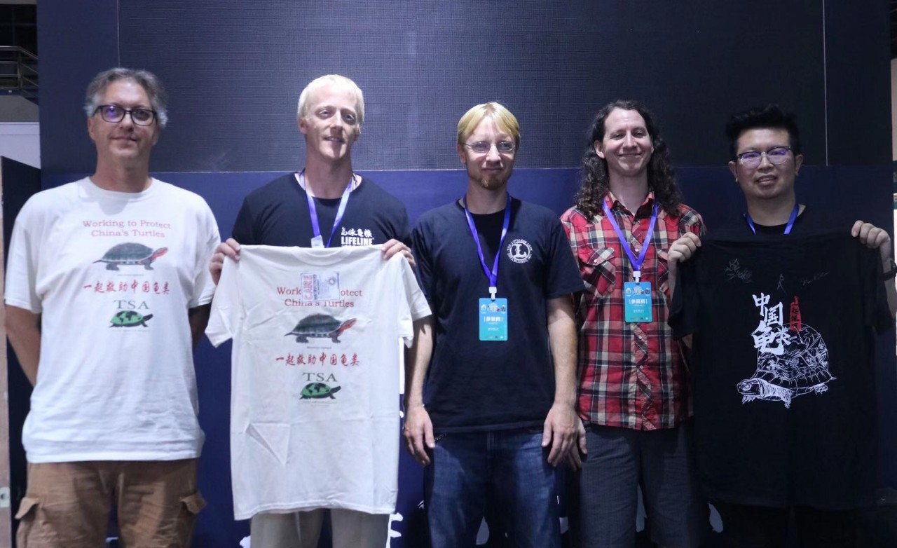 TSA这次聊的龟，连维基百科都没有完整介绍——苏拉威西白头龟