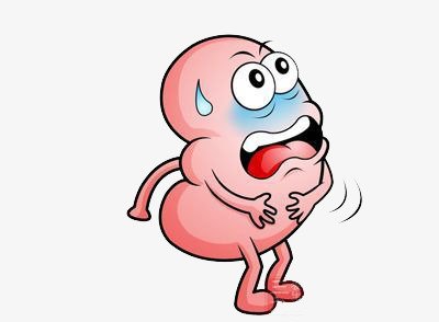 五脏六腑争吵,五脏六腑受到创伤会怎么样