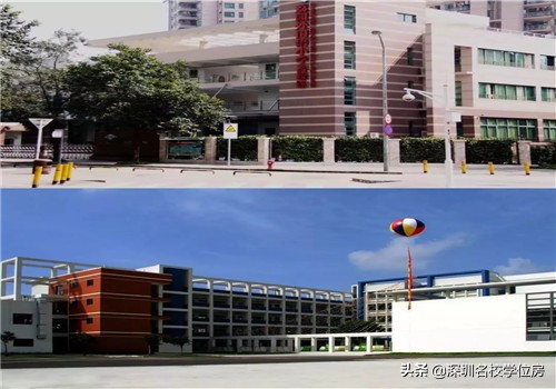 深圳荔园小学,深圳荔园集团旗下学校