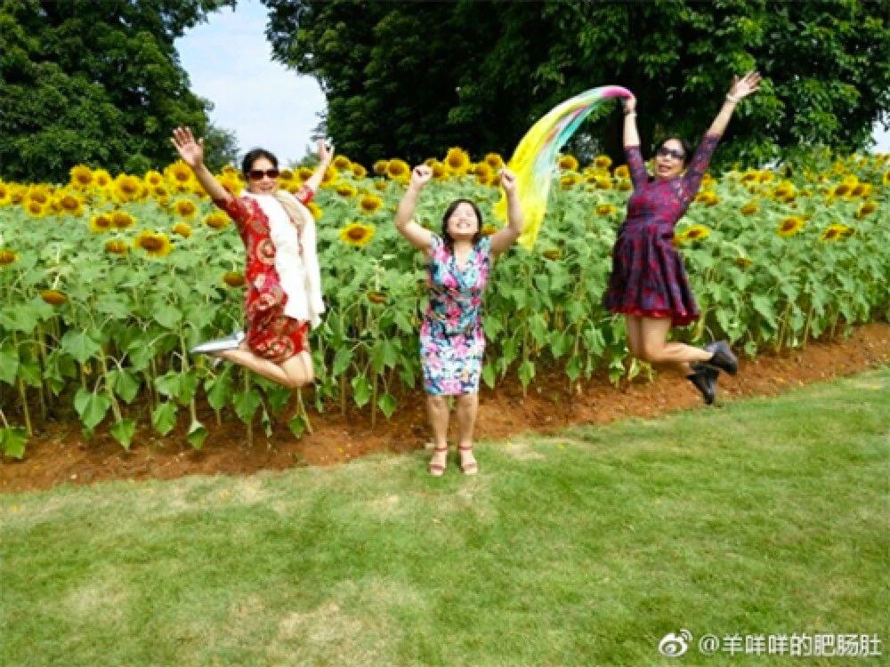 妈妈们拍的那些作妖照片,简直有毒。。。