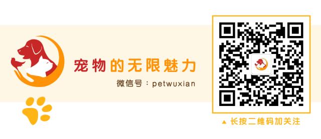 啧啧啧~断绝它的“性”福之路前你有仔细考虑吗？