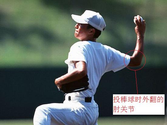 肘关节韧带重建康复流程,肘关节副韧带断裂术后康复训练