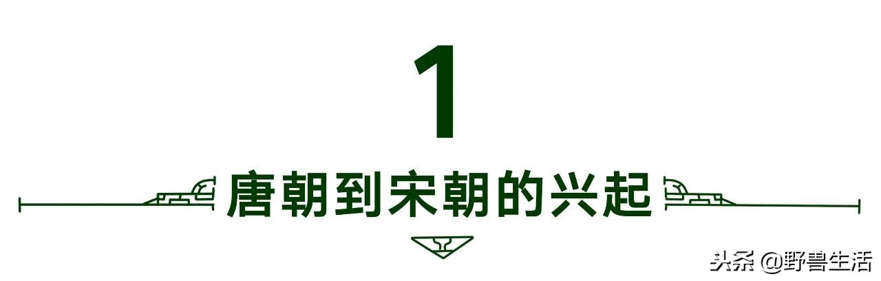 养胃抗衰老刮油的茶,喝这个茶竟能抗衰老